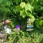 Ivy Lane Hébergement de vacances