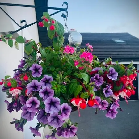 Ivy Lane Vakantiehuis *