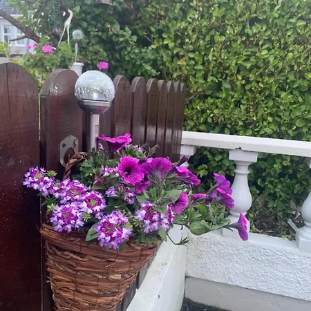 Vakantiehuis Ivy Lane *