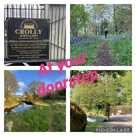 Dom wakacyjny Ivy Lane