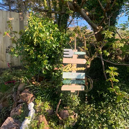 Dom wakacyjny Ivy Lane