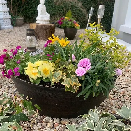 Dom wakacyjny Ivy Lane *