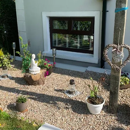 Ivy Lane * Loughanure