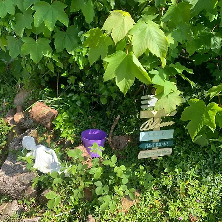 Ivy Lane Vakantiehuis