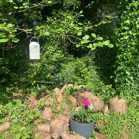 Ivy Lane Vakantiehuis Loughanure