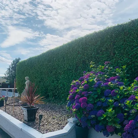 Ivy Lane * Loughanure