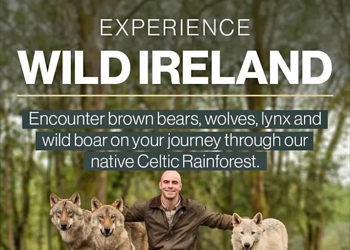 Ivy Lane 別荘 Loughanure