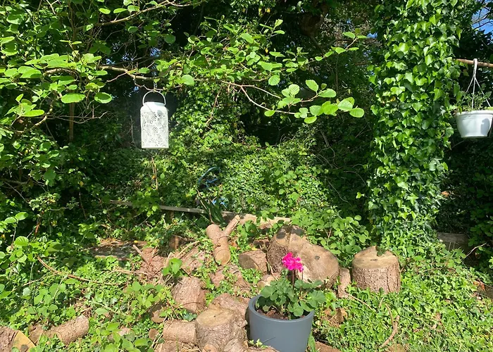 Ivy Lane Nyaraló Loughanure