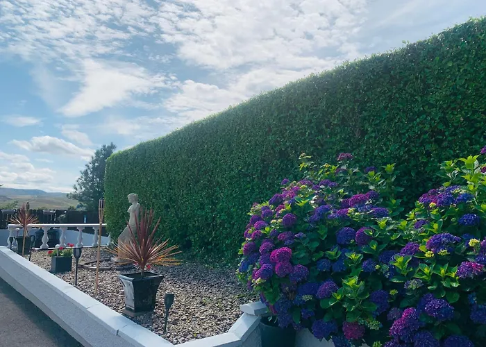 Ivy Lane * Loughanure